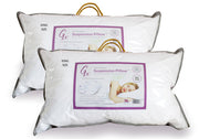 King Size Gx Suspension Pillow Twin Pack